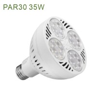 35W  110V 220V E26 E27 3000K 4000K 6000K 8000K 10000K 12000K LED PAR30 Track Rail LED PAR30 Jewelry PAR30 LED Light