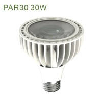 30W 110V 220V E26 E27 4000K 6000K 10000K 12000K LED PAR30 Track Rail LED PAR30 Jewelry PAR30 LED Light